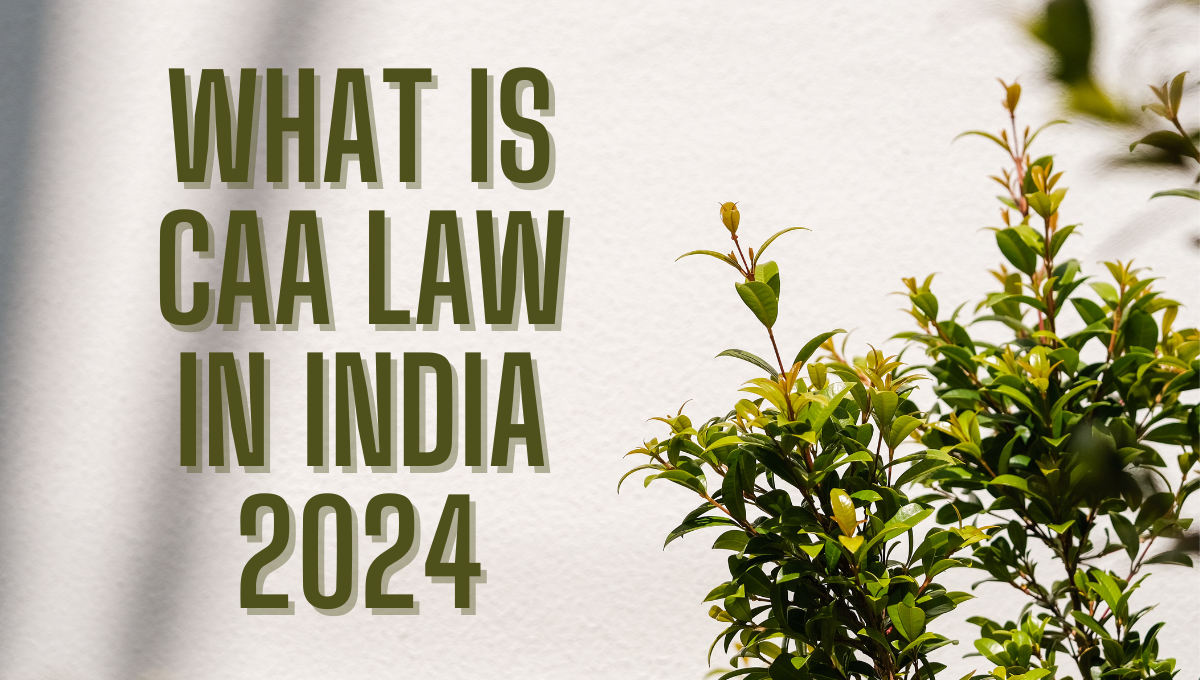 What is CAA Law in India 2024
